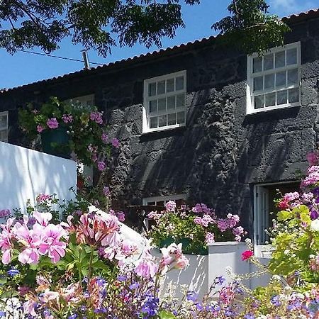 Гостевой дом Casa Do Ze - Al Manadas Экстерьер фото