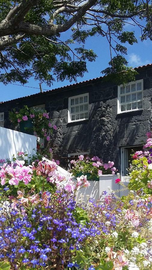 Гостевой дом Casa Do Ze - Al Manadas Экстерьер фото